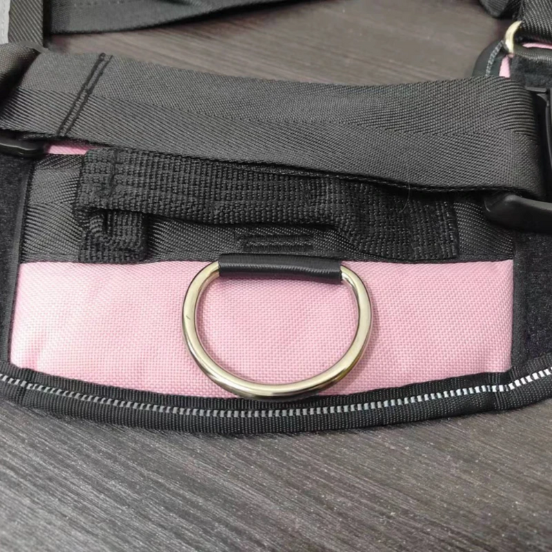 Peitoral Ajustável PetBelt  para Cachorros – Conforto, Segurança e Nome Personalizável!