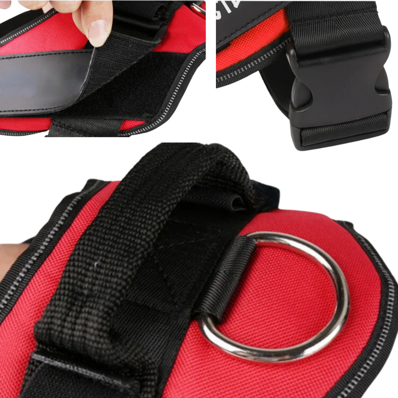 Peitoral Ajustável PetBelt  para Cachorros – Conforto, Segurança e Nome Personalizável!