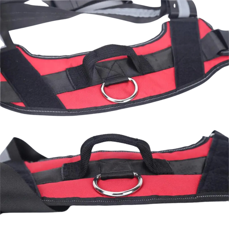 Peitoral Ajustável PetBelt  para Cachorros – Conforto, Segurança e Nome Personalizável!