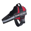 Peitoral Ajustável PetBelt  para Cachorros – Conforto, Segurança e Nome Personalizável!